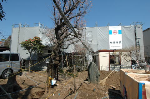 既存植木一部撤去